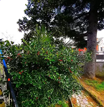 Foto annuncio 19