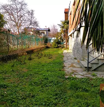 Foto annuncio 71