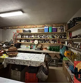 Foto annuncio 52