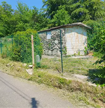 Foto annuncio 3