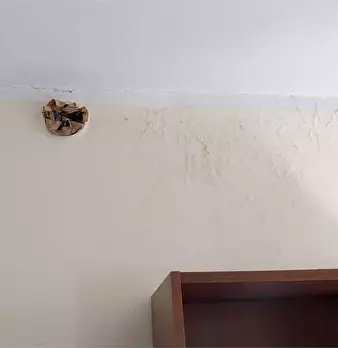 Foto annuncio 18