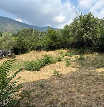Foto annuncio 24