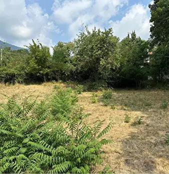 Foto annuncio 25