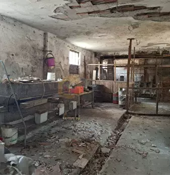 Foto annuncio 11