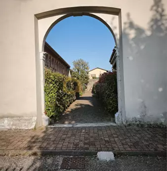 Foto annuncio 39