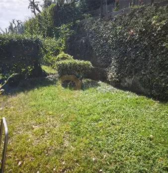 Foto annuncio 40