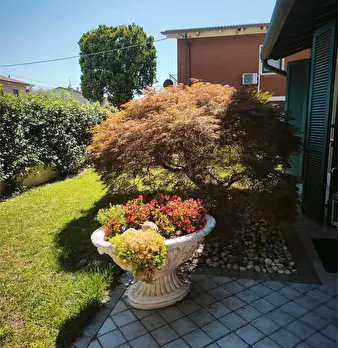 Foto annuncio 29