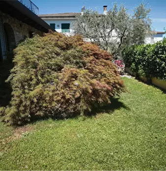Foto annuncio 31