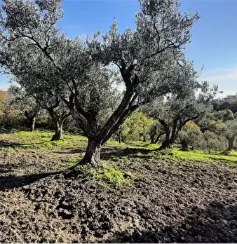 Foto annuncio 3