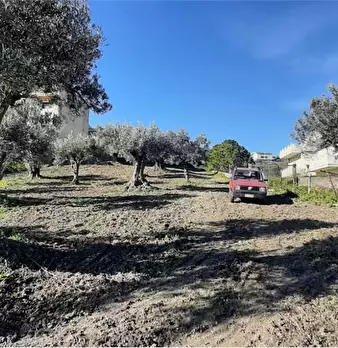 Foto annuncio 4