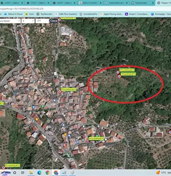 Foto annuncio 8