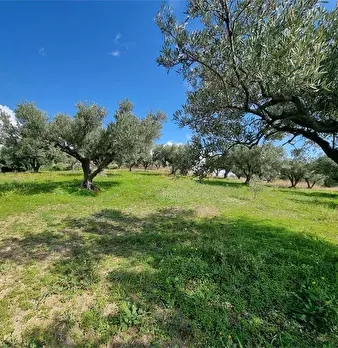 Foto annuncio 6