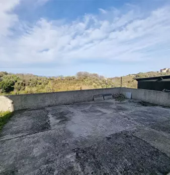 Foto annuncio 29