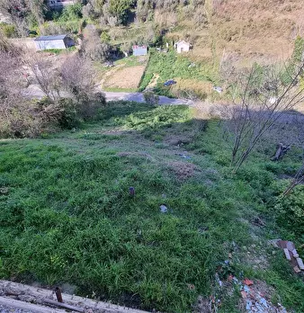 Foto annuncio 31