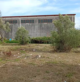 Foto annuncio 10
