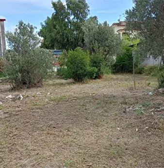 Foto annuncio 11