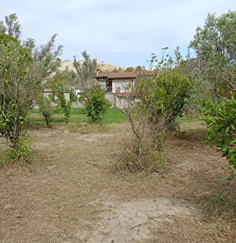 Foto annuncio 12