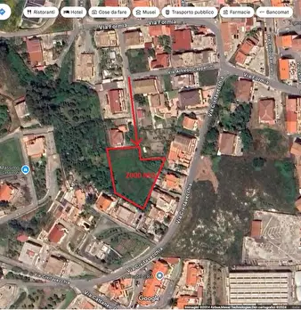 Foto annuncio 12