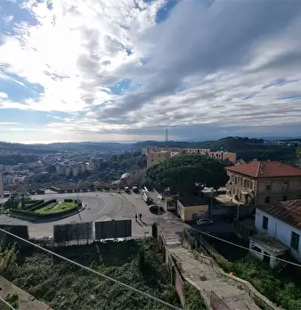 Foto annuncio 12