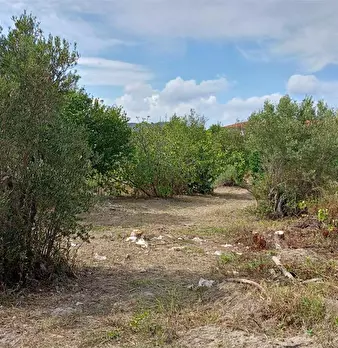 Foto annuncio 18