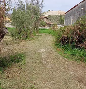 Foto annuncio 19
