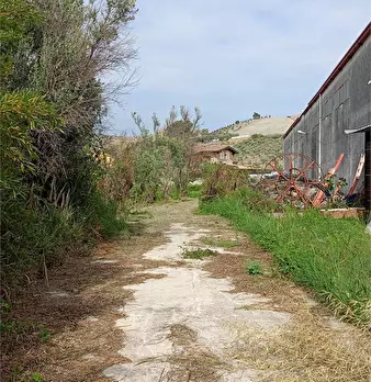 Foto annuncio 20