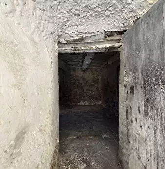 Foto annuncio 19