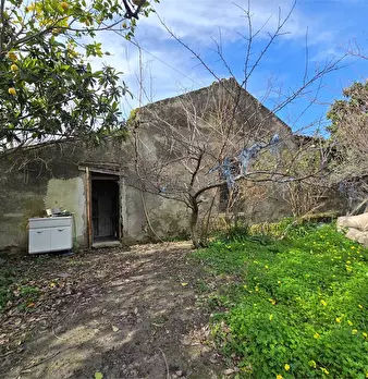 Foto annuncio 3