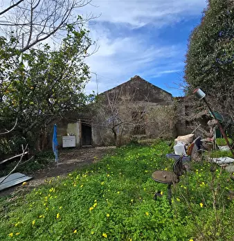 Foto annuncio 4