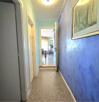 Foto annuncio 37