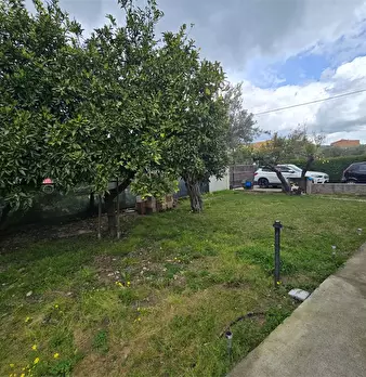 Foto annuncio 26