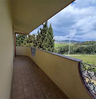 Foto annuncio 63