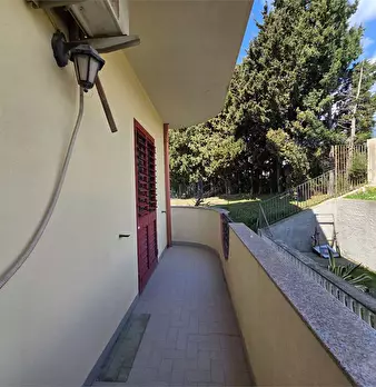 Foto annuncio 9