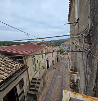 Foto annuncio 13