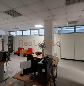 Foto annuncio 6