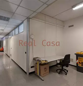 Foto annuncio 14