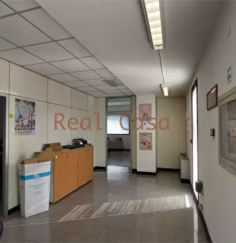 Foto annuncio 18