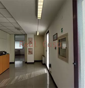 Foto annuncio 29