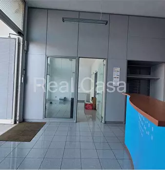 Foto annuncio 8