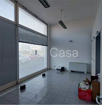 Foto annuncio 11