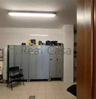 Foto annuncio 11