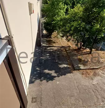 Foto annuncio 43
