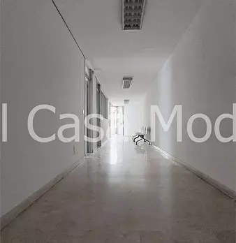 Foto annuncio 19