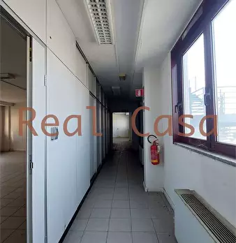 Foto annuncio 22