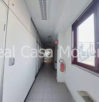 Foto annuncio 14