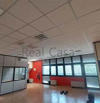 Foto annuncio 6