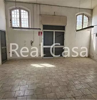 Foto annuncio 6