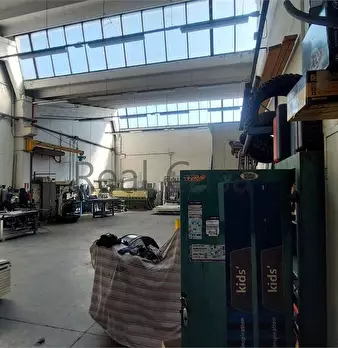 Foto annuncio 6