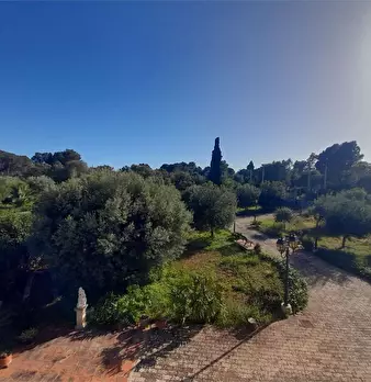 Foto annuncio 6