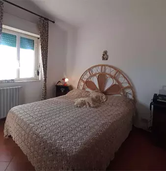 Foto annuncio 17